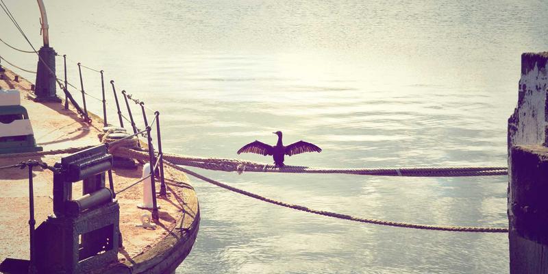 Electronic Components 3.5: Engineering the Future with E-THz Technologies and Rapid Prototyping