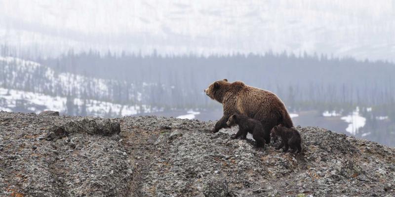 从原型到量产：揭秘硅光芯片与CMOS工艺协同设计中的工程智慧