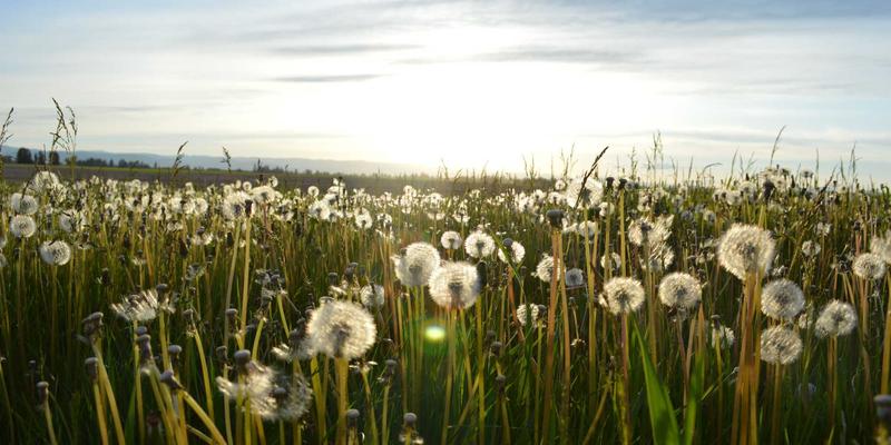 从焊接工艺到E-THZ前沿:电子元器件硬件开发的演进与核心