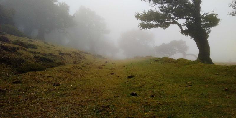 传感器技术与工程原型开发：从概念到现实的电子组件核心