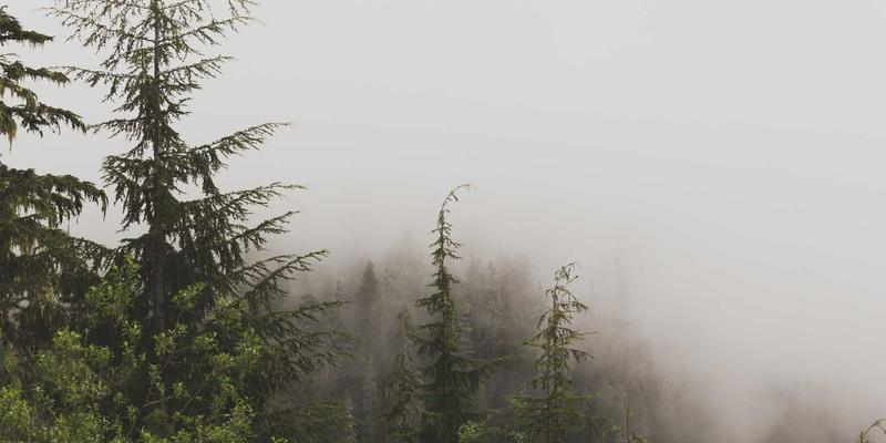 柔性印刷电路板（FPCB）在折叠屏设备中的核心设计与挑战：从原型制作到IoT集成的关键考量