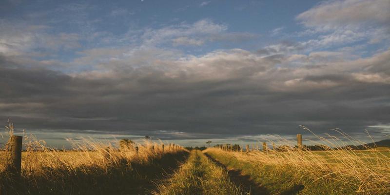 电子元器件：从微控制器到硬件开发的基石
