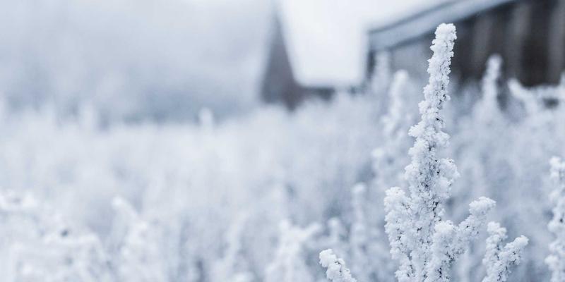 电子元器件：硬件开发与工程创新的核心基石